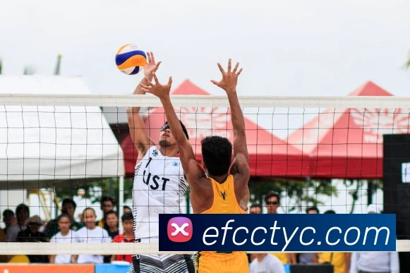 太阳城网站APP 封面图